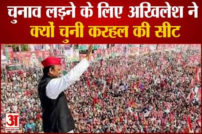 UP Election 2022 akhilesh yadav fight in up chunav from karhal vidhansabha seat