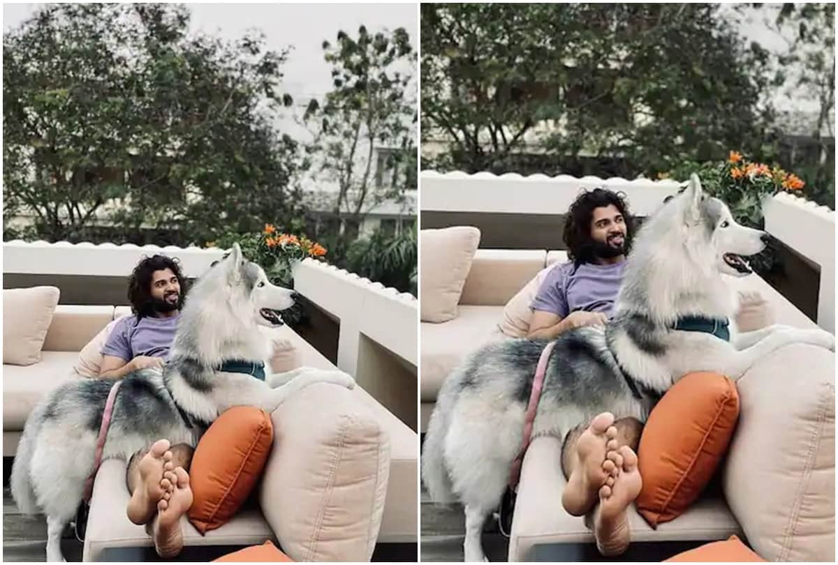 Vijay Deverakonda: Vijay Deverakonda is the owner of a luxurious bungalow worth 15 crores you will be surprised to see the pictures