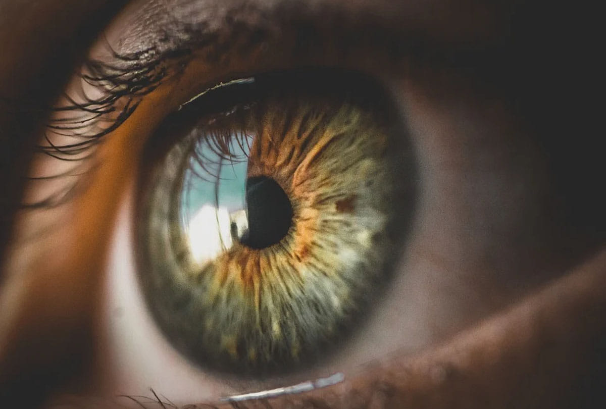 scientists revived light-sensing neuron cells in dead people's eyes, all you need to know