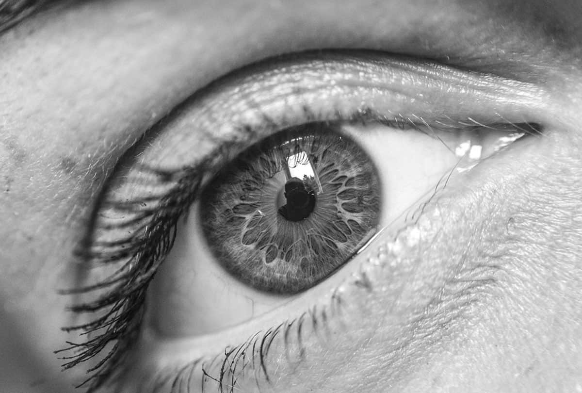 New Research An aging retina could reveal if you are at risk of an early death says study