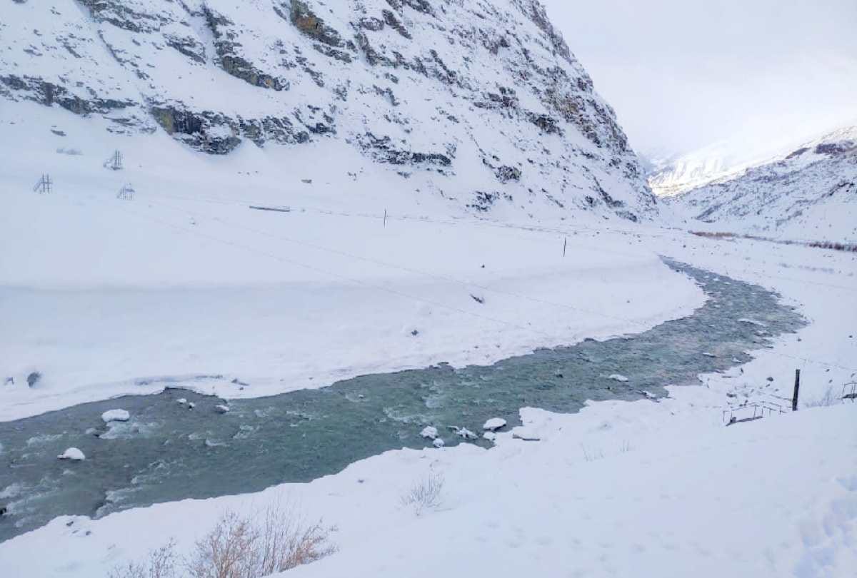 himachal weather update: Snowfall in higher reaches of state including Shimla