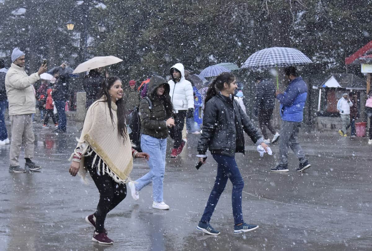 Shimla News: Tourist prefer for stay at Kufri and Narkanda instead of shimla