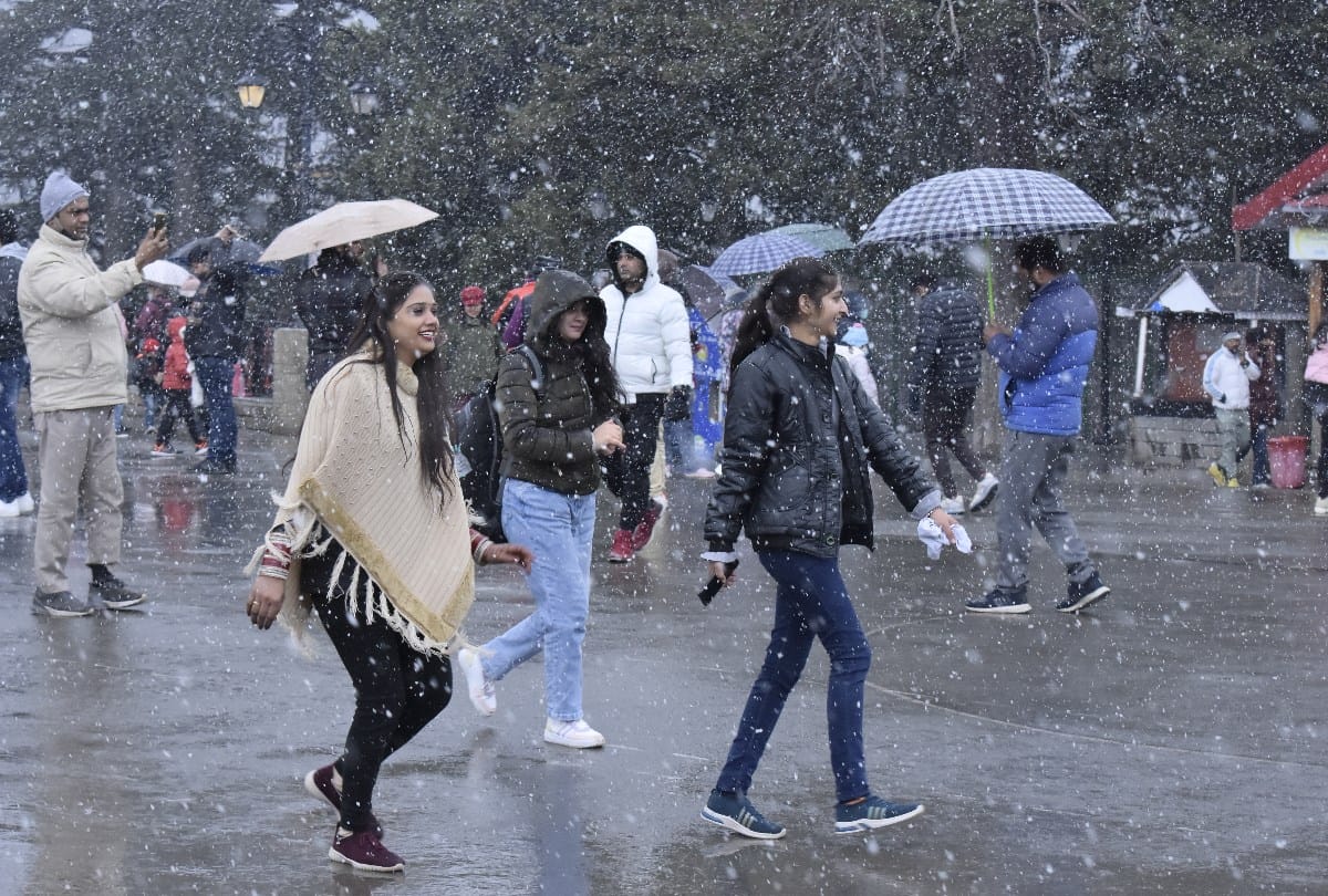 Shimla News: Tourist prefer for stay at Kufri and Narkanda instead of shimla
