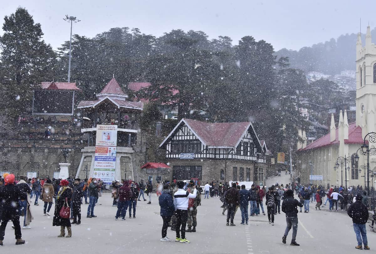 Shimla News: Tourist prefer for stay at Kufri and Narkanda instead of shimla