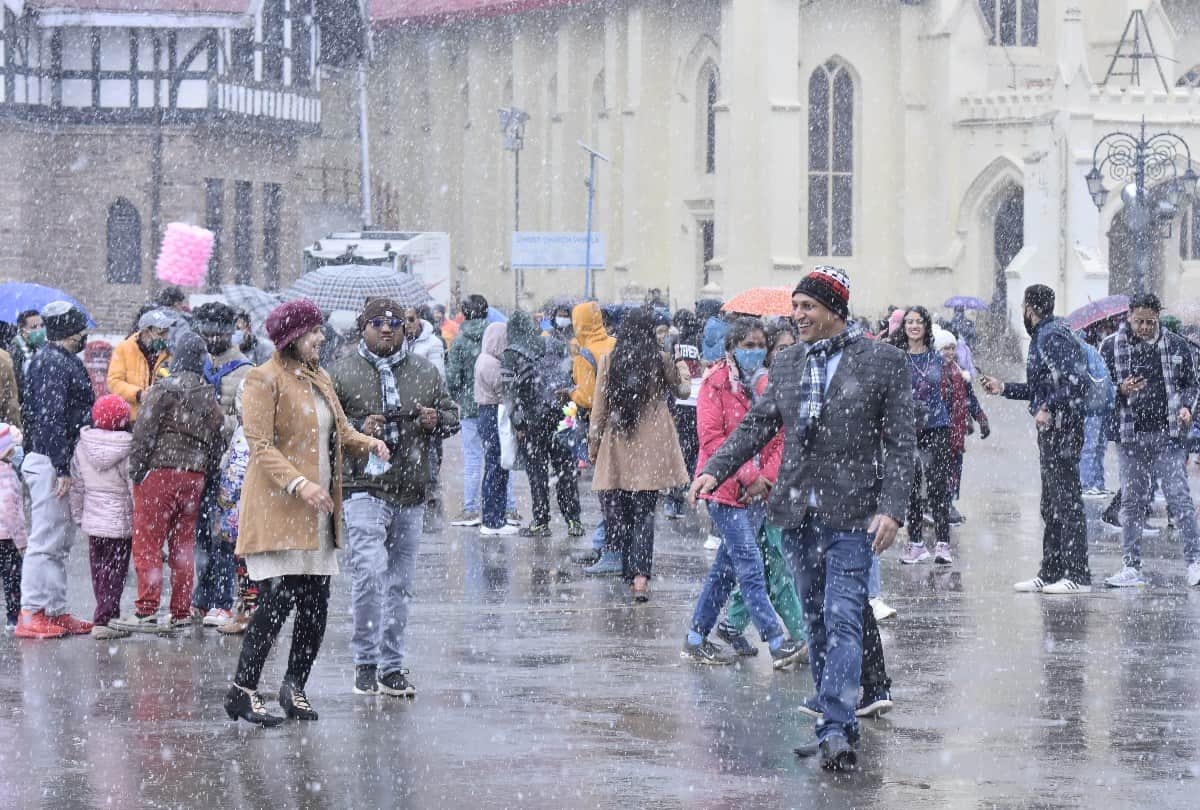 Shimla News: Tourist prefer for stay at Kufri and Narkanda instead of shimla