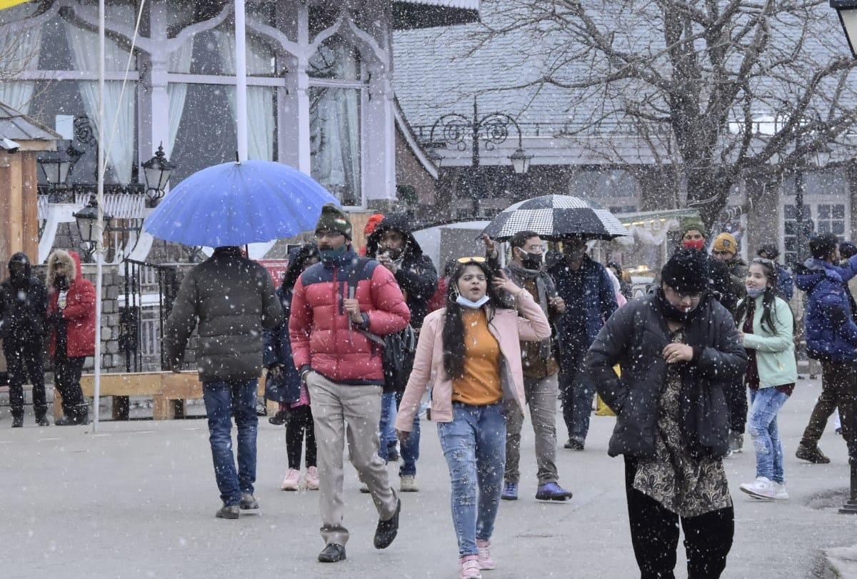 Shimla News: Tourist prefer for stay at Kufri and Narkanda instead of shimla