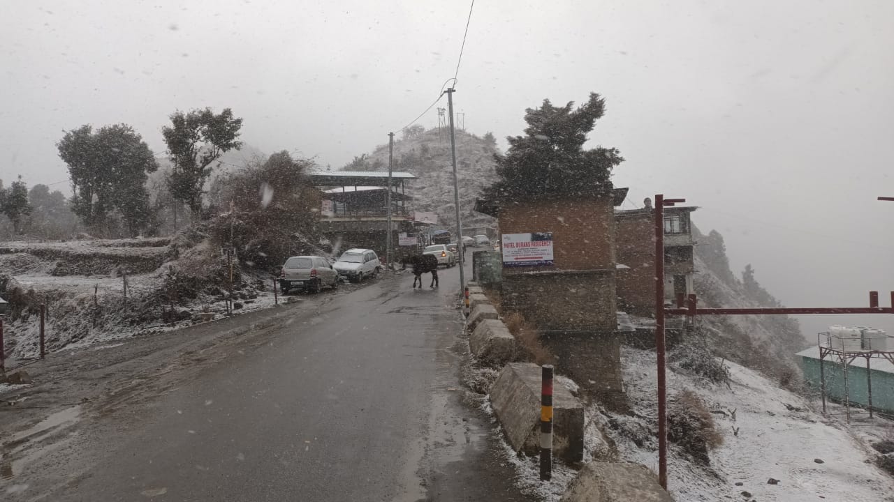 uttarakhand weather update: snowfall in dhanaulti, see photos