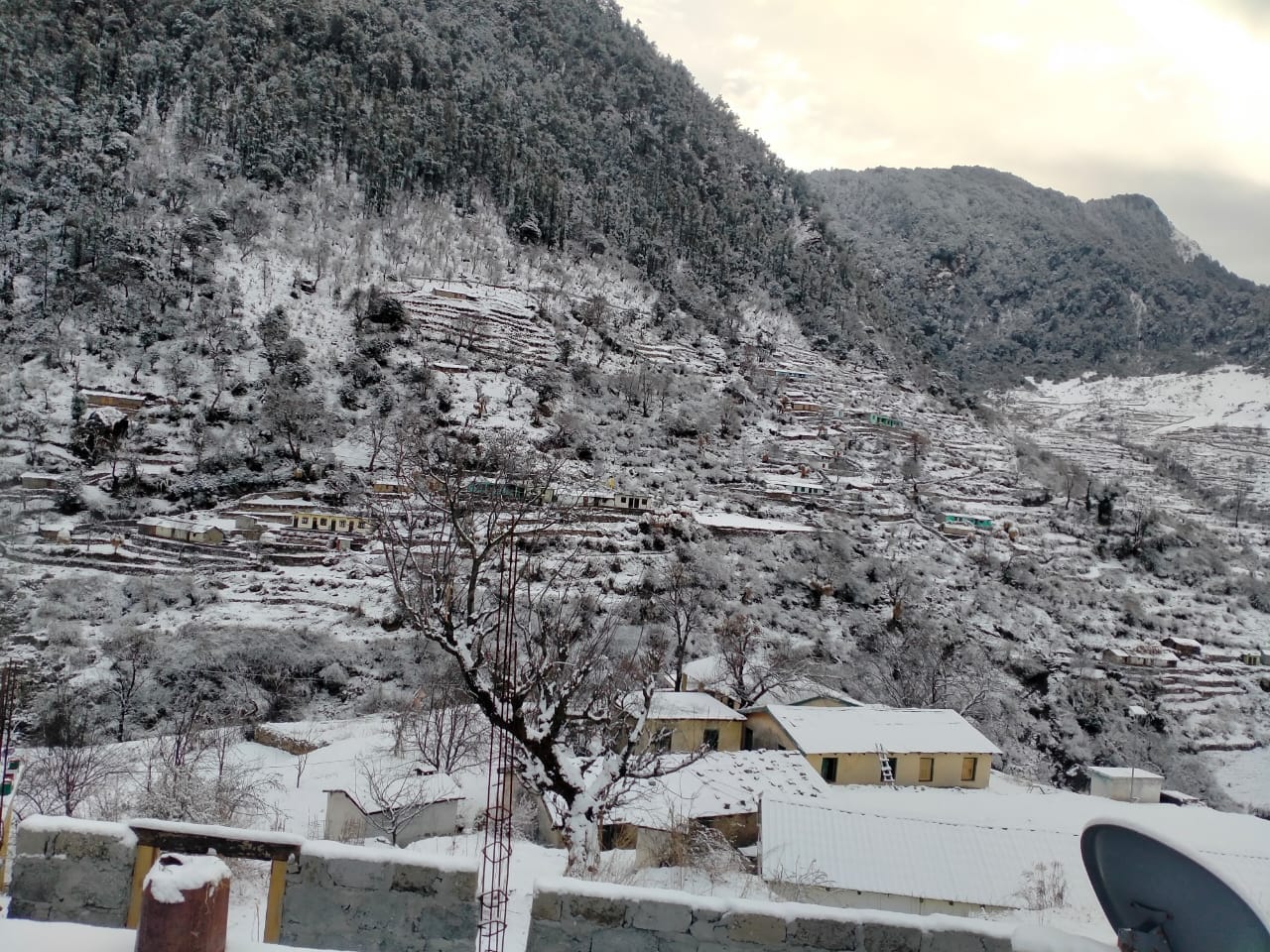 uttarakhand weather update: snowfall in dhanaulti, see photos