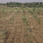 सांकेतिक फोटो