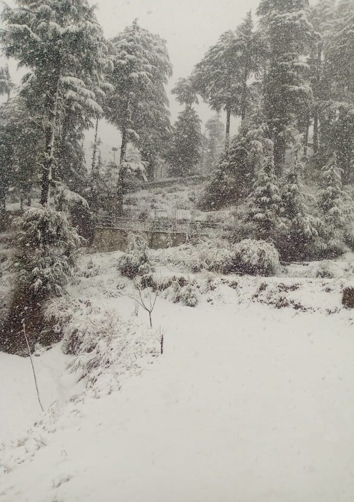Snow fall