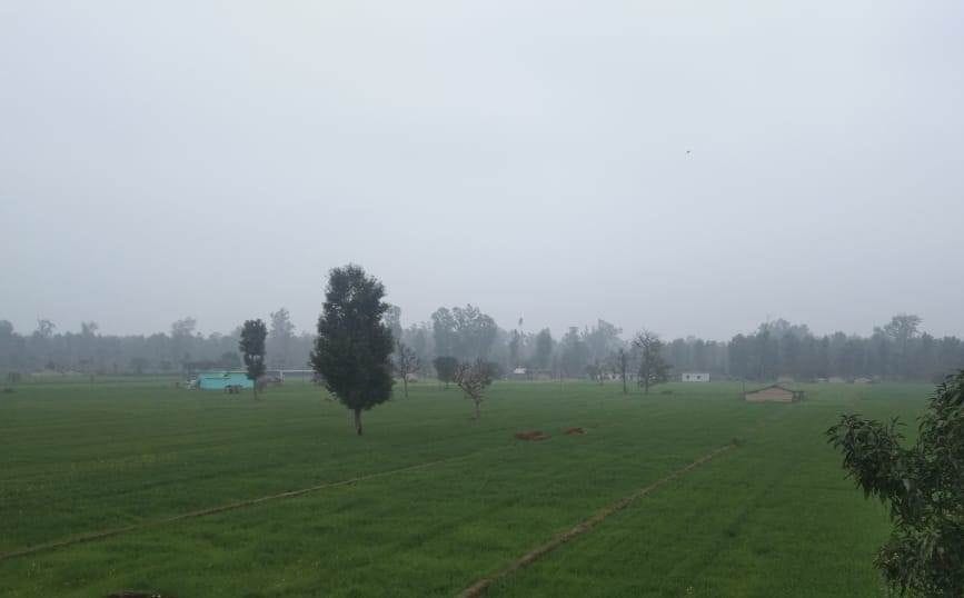 Rural Devlopment in Majhganv