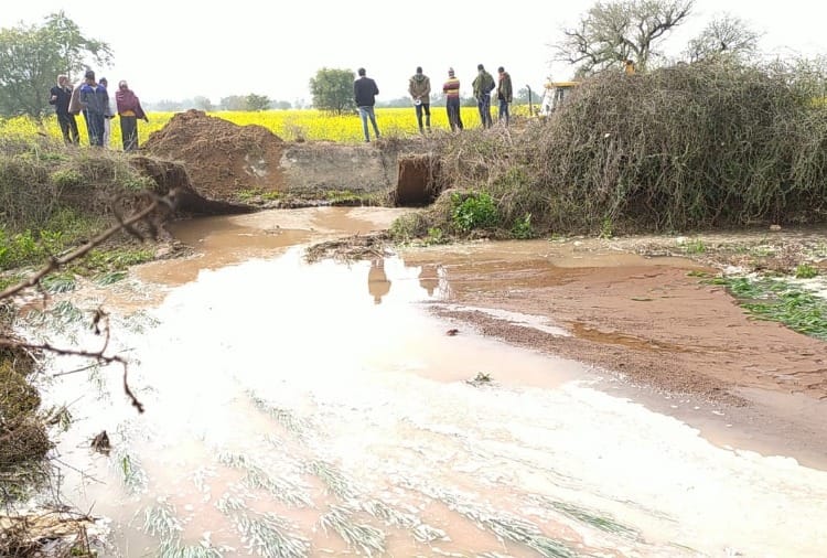 Water filled in 20 acres of crop due to canal break in Mahendragarh