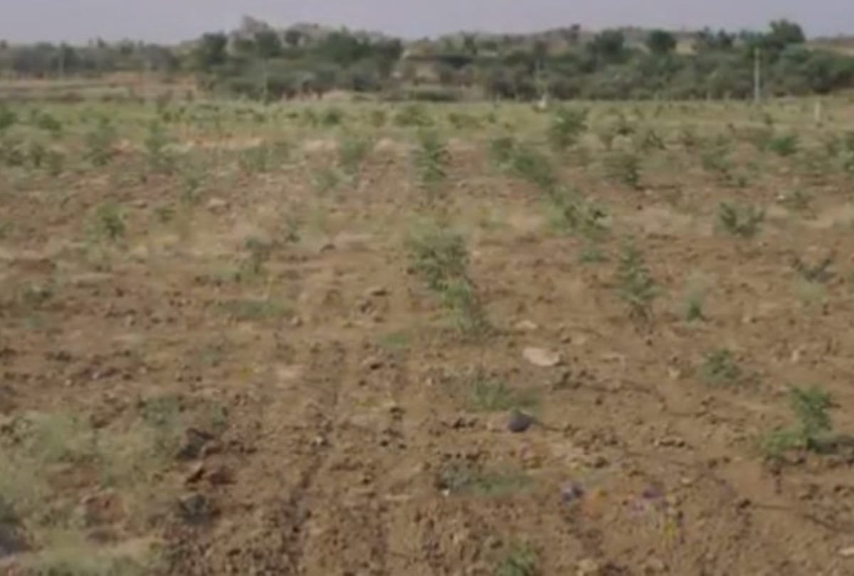 Hridwar cemetery land,  Waqf Board land sold without permission, notice to 24