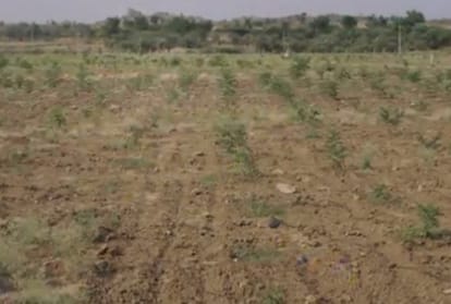देहरादून: पट्टे की जमीनों में बिजली-पानी कनेक्शन के लिए निगम की एनओसी अनिवार्य, जानें फैसले की पीछे वजह Corporation NOC mandatory for electricity-water connection in leased lands Uttarakhand news in hindi