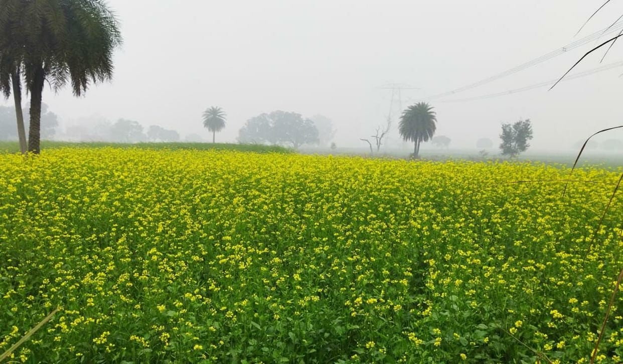The mercury dropped by three degrees due to drizzle, people chilled