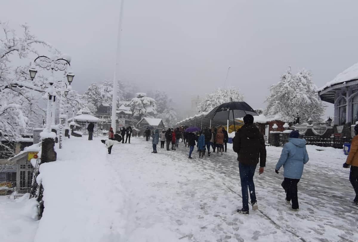 snowfall in shimla today amid yellow alert in himachal pradesh