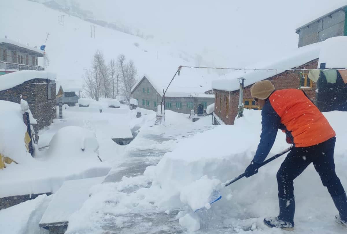 snowfall in shimla today amid yellow alert in himachal pradesh