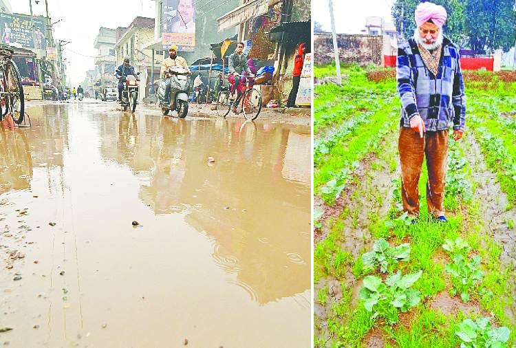 Punjab weather update Rain increases cold in Punjab