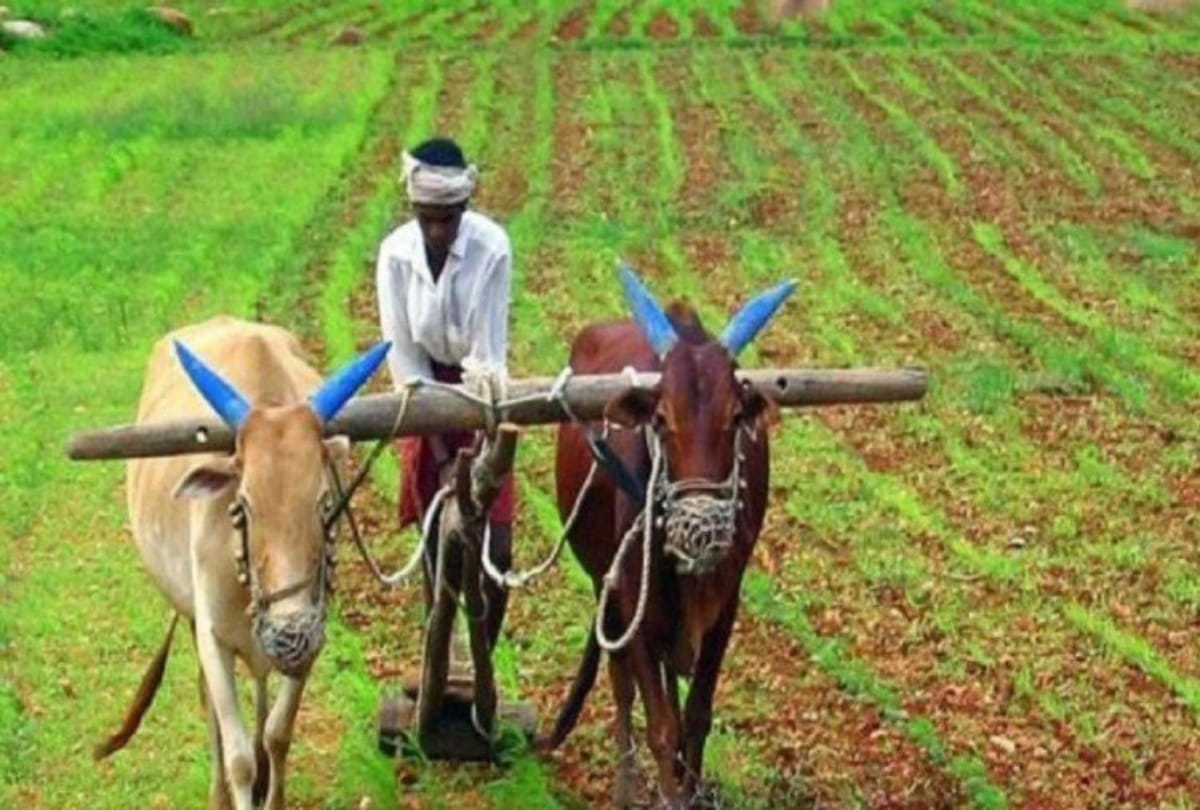 Rajasthan goverment gift to indebted farmers