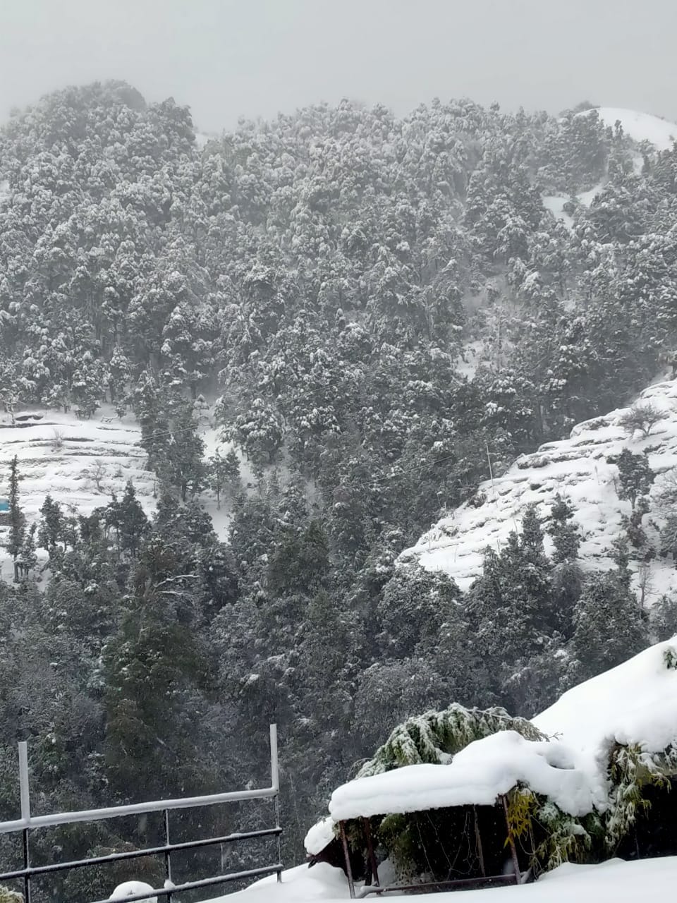 uttarakhand weather update: snowfall in mussoorie and dhanaulti, see beautiful photos