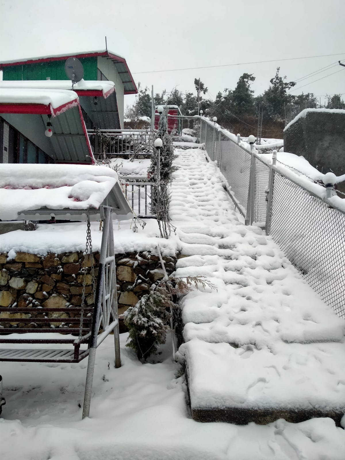 uttarakhand weather update: snowfall in mussoorie and dhanaulti, see beautiful photos