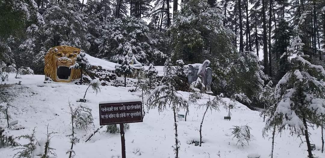 uttarakhand weather update: snowfall in mussoorie and dhanaulti, see beautiful photos