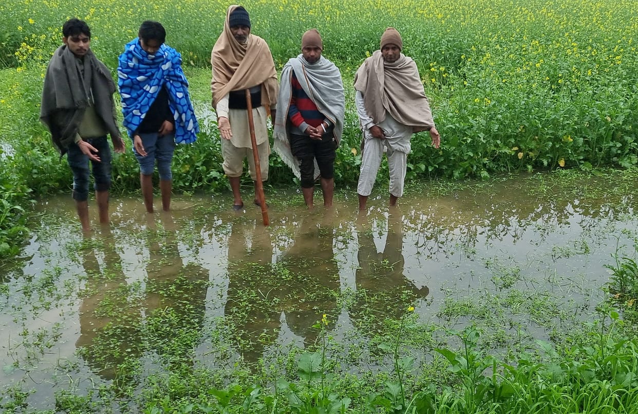 Disaster rain on vegetables, potato crops, Kurukshetra