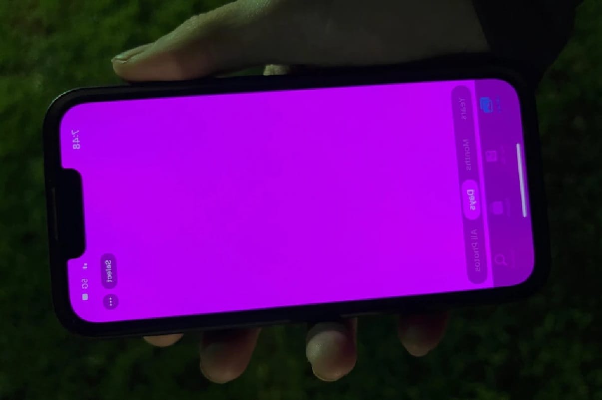 iPhone 13 Series Hit by Pink Screen Issue for Some Users