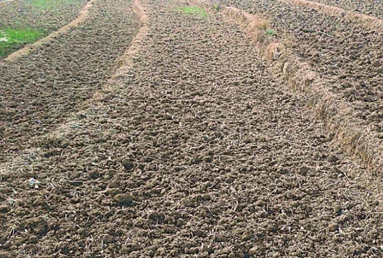 Land measurement will be done digitally in Haryana