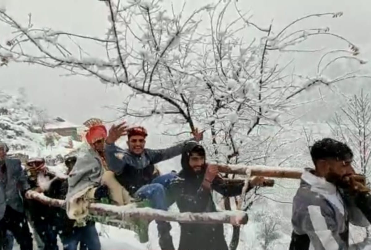 snowfall in himachal: Barat reached at bride home by walking six kilometer in snowfall