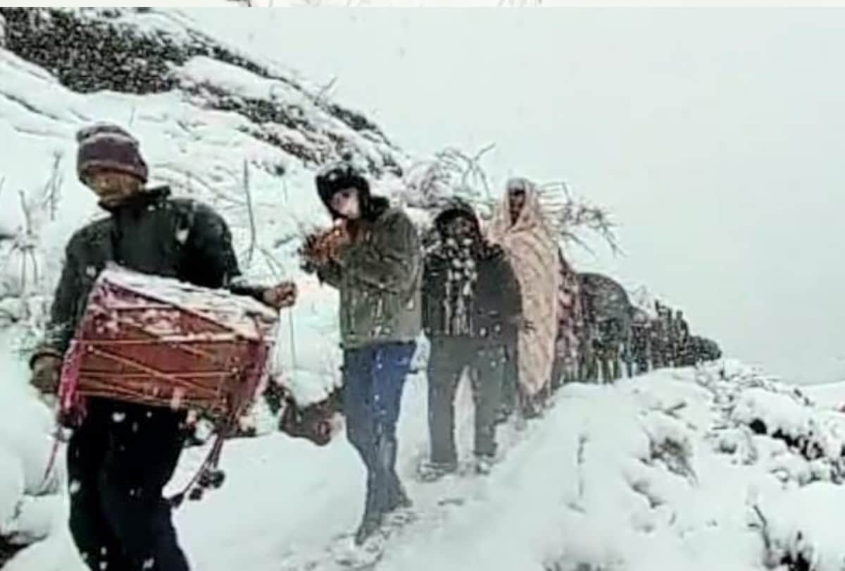 snowfall in himachal: Barat reached at bride home by walking six kilometer in snowfall