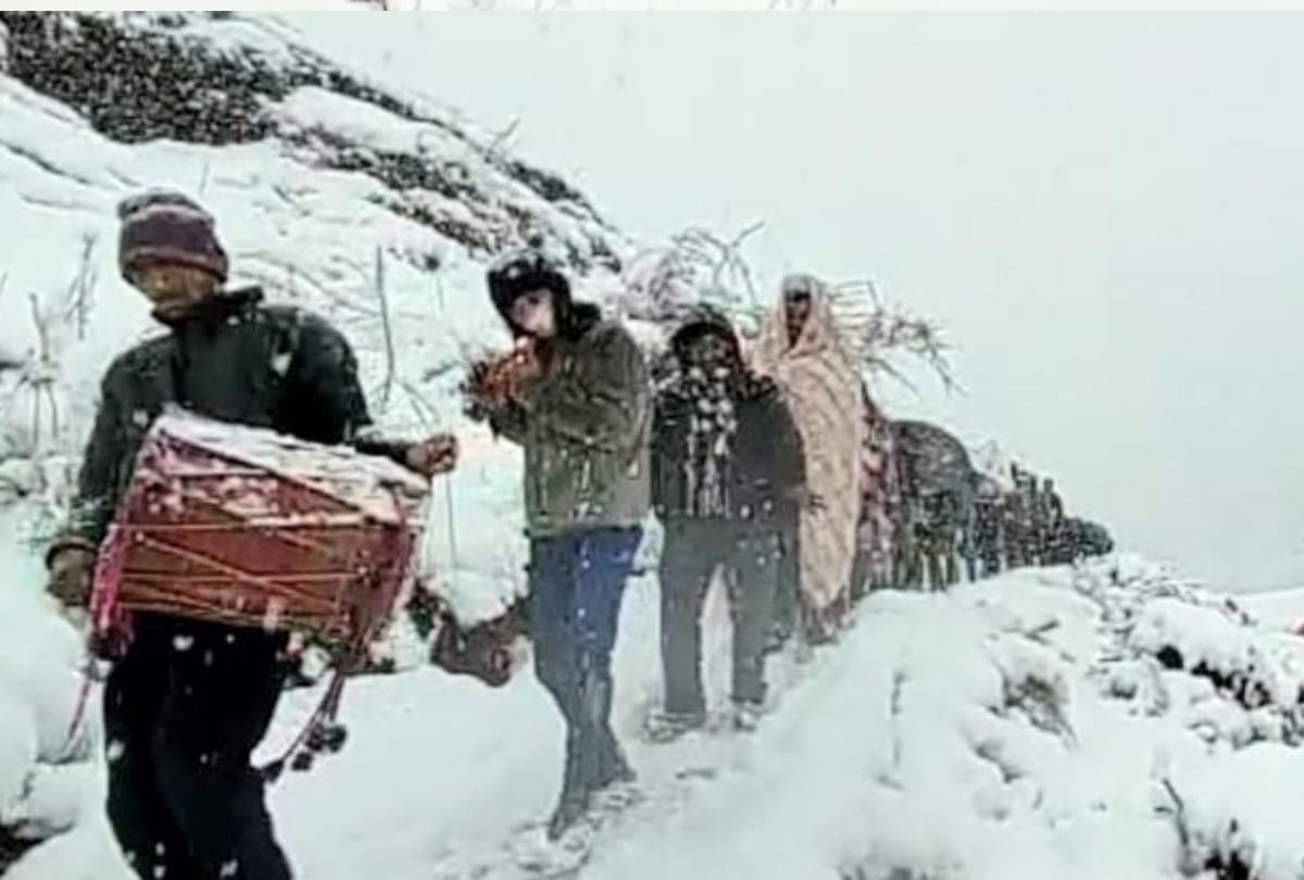 snowfall in himachal: Barat reached at bride home by walking six kilometer in snowfall