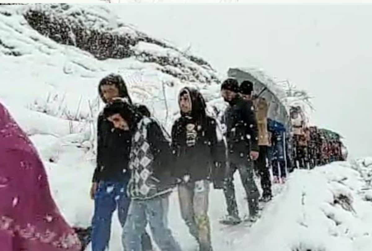 snowfall in himachal: Barat reached at bride home by walking six kilometer in snowfall