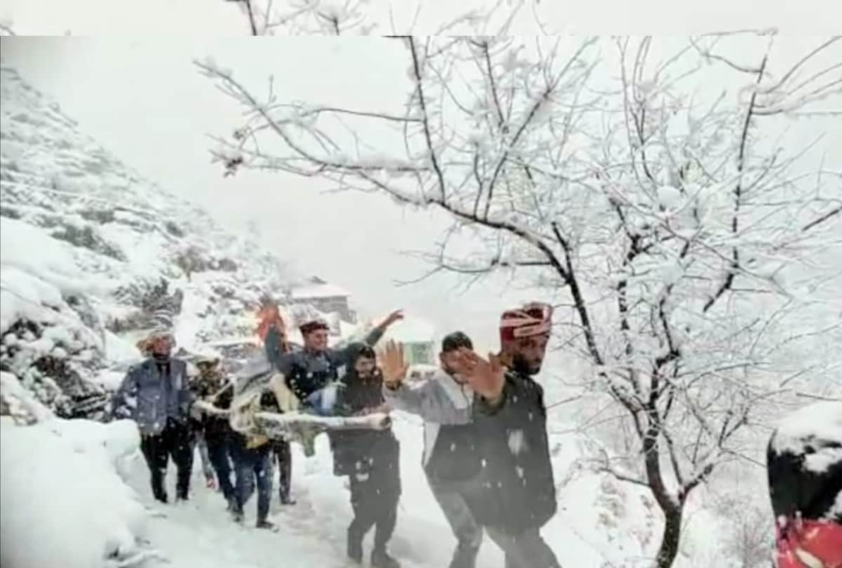 snowfall in himachal: Barat reached at bride home by walking six kilometer in snowfall