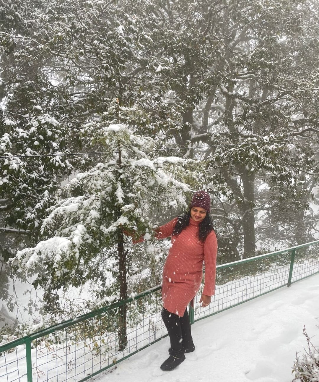 uttarakhand weather update: snowfall in nainital, tourist enjoying, see photos