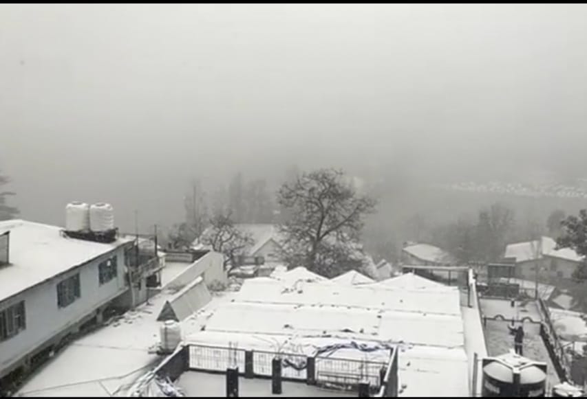 uttarakhand weather update: snowfall in nainital, tourist enjoying, see photos