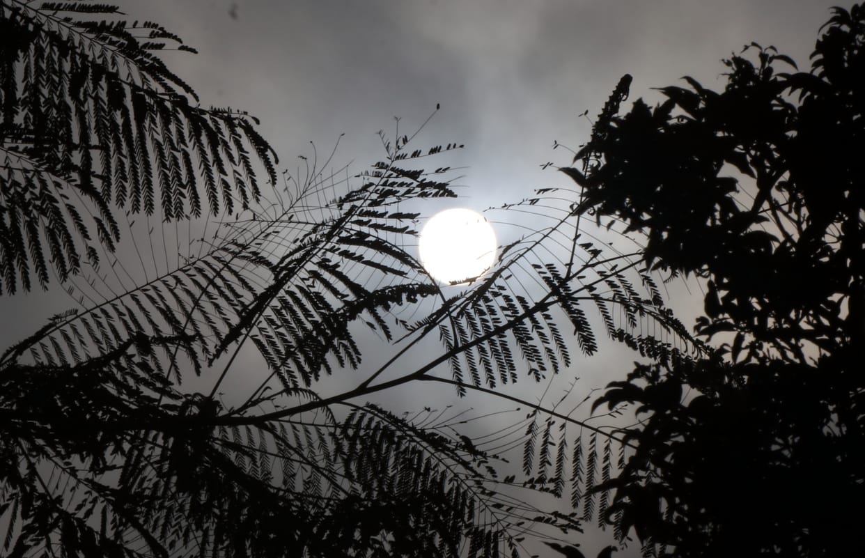 Relief from rain, cold persists