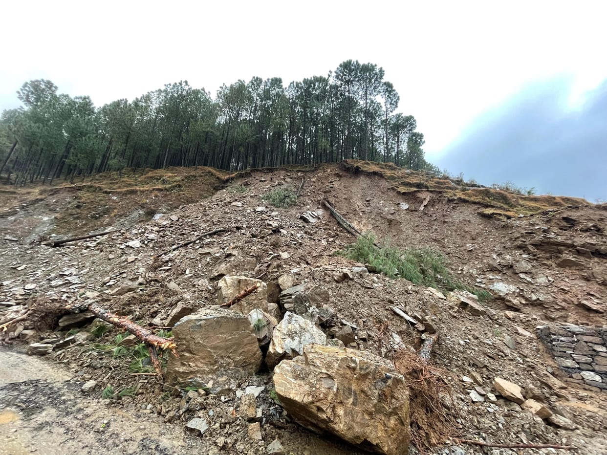 many trees destroyed by private company in silai nh-707