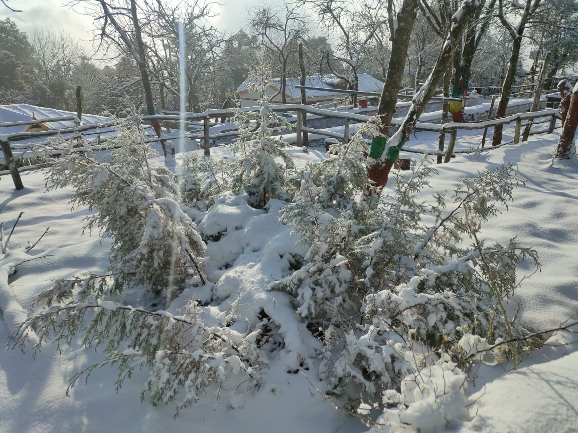 Snow Fall In Pandavkholi