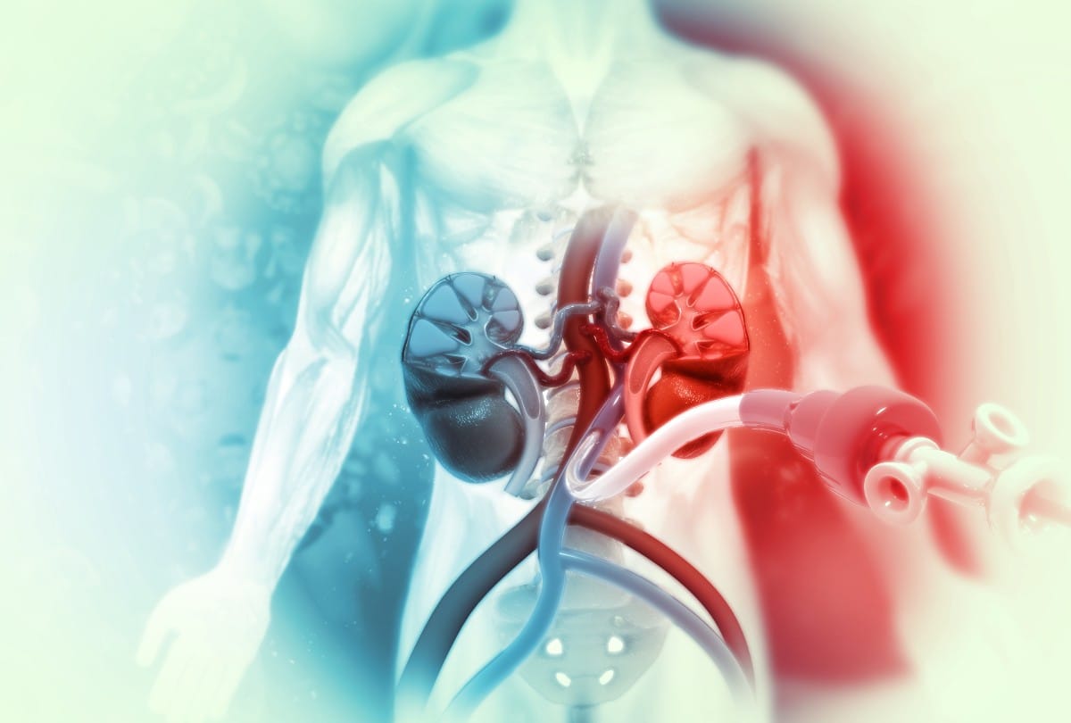 Peripheral Artery Disease Causes Symptoms And Treatment in Hindi