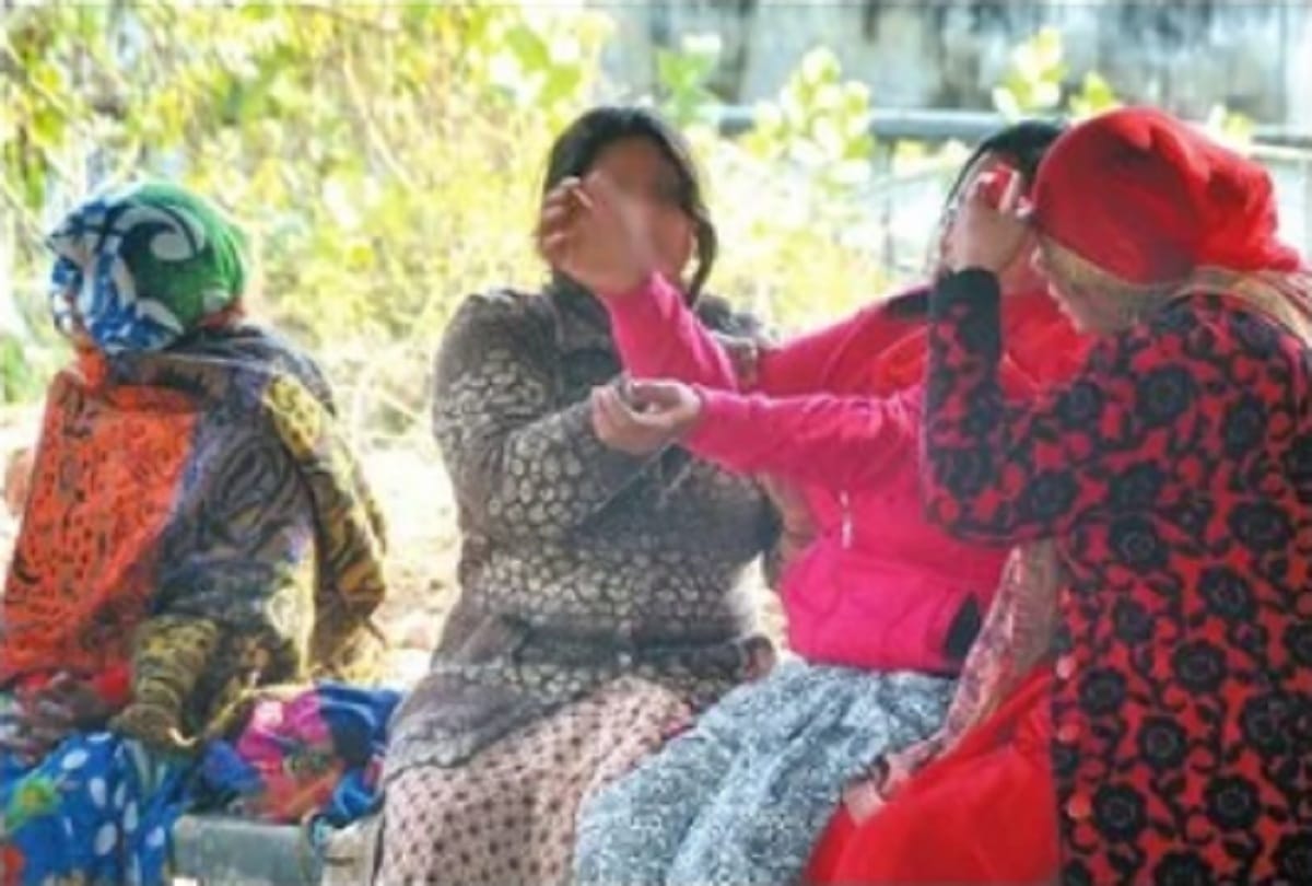 Student murder and rape case: Samples sent for DNA test, clothes of accused will also be investigated