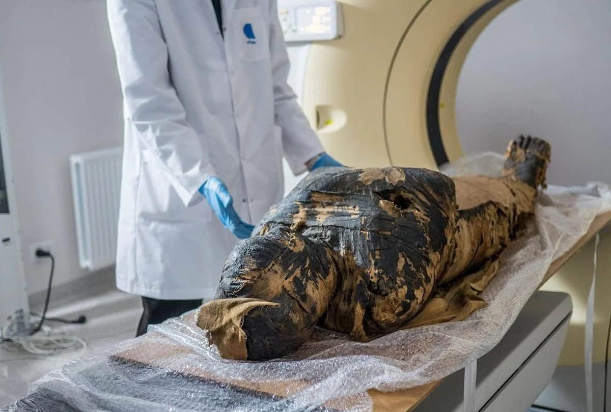 egyptian first pregnant mummy fetus found preserved know how foetus was preserved