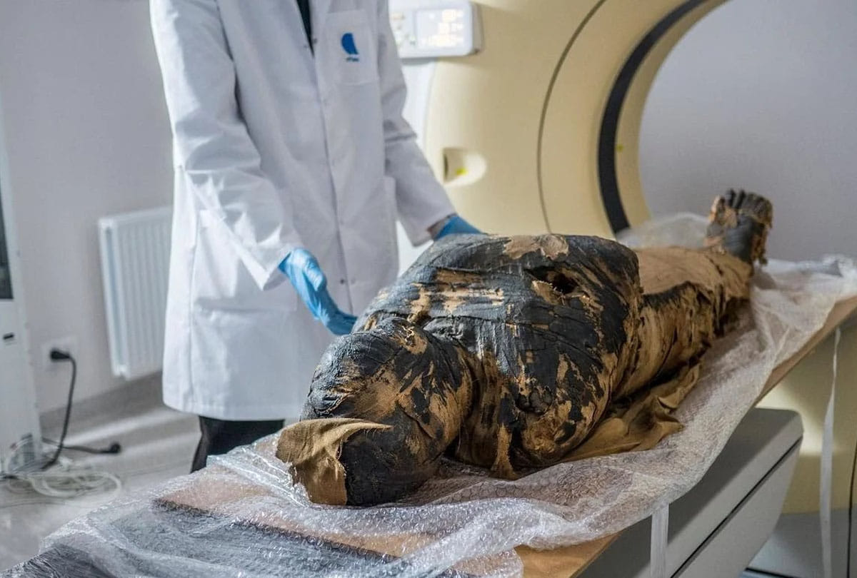 egyptian first pregnant mummy fetus found preserved know how foetus was preserved