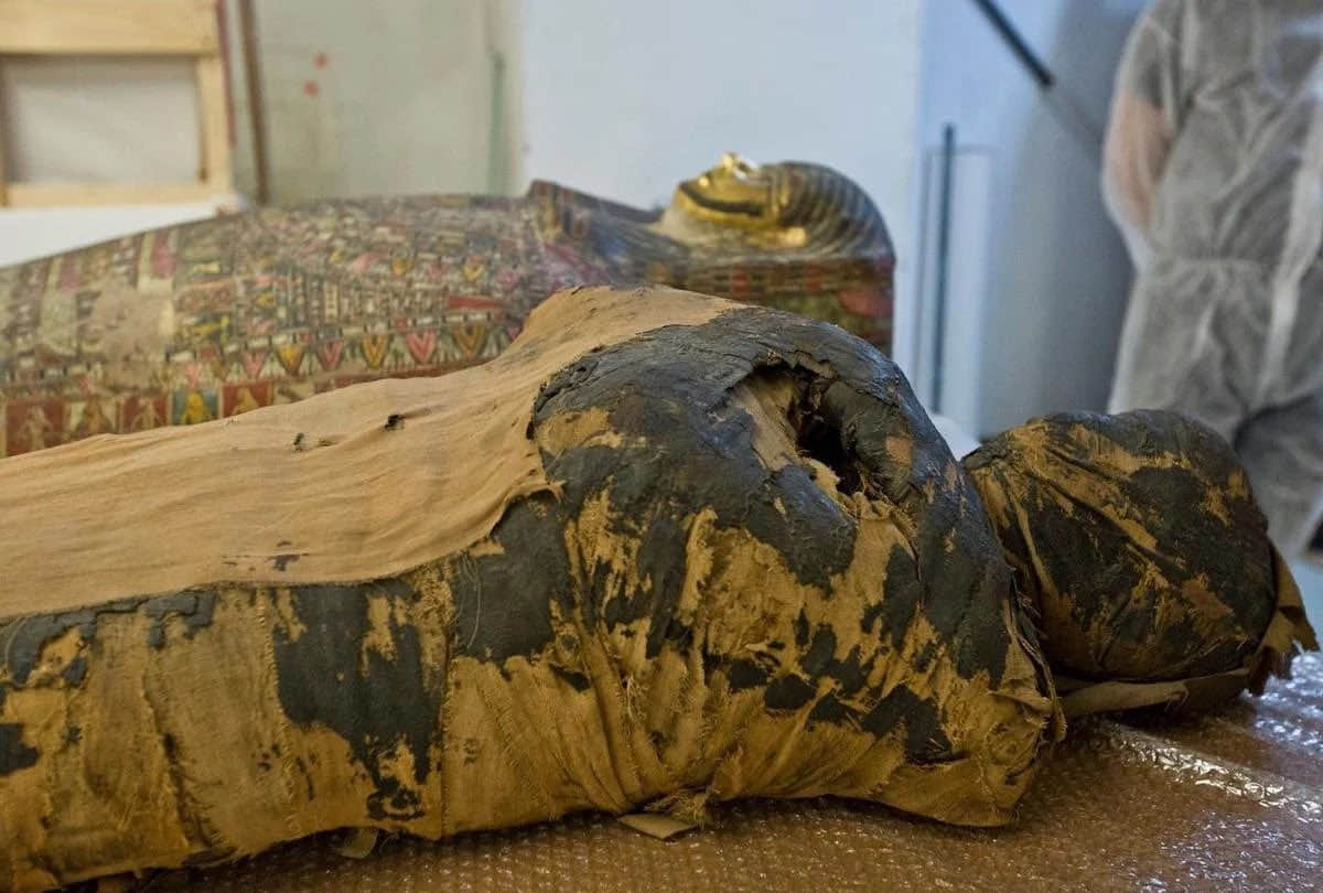 egyptian first pregnant mummy fetus found preserved know how foetus was preserved