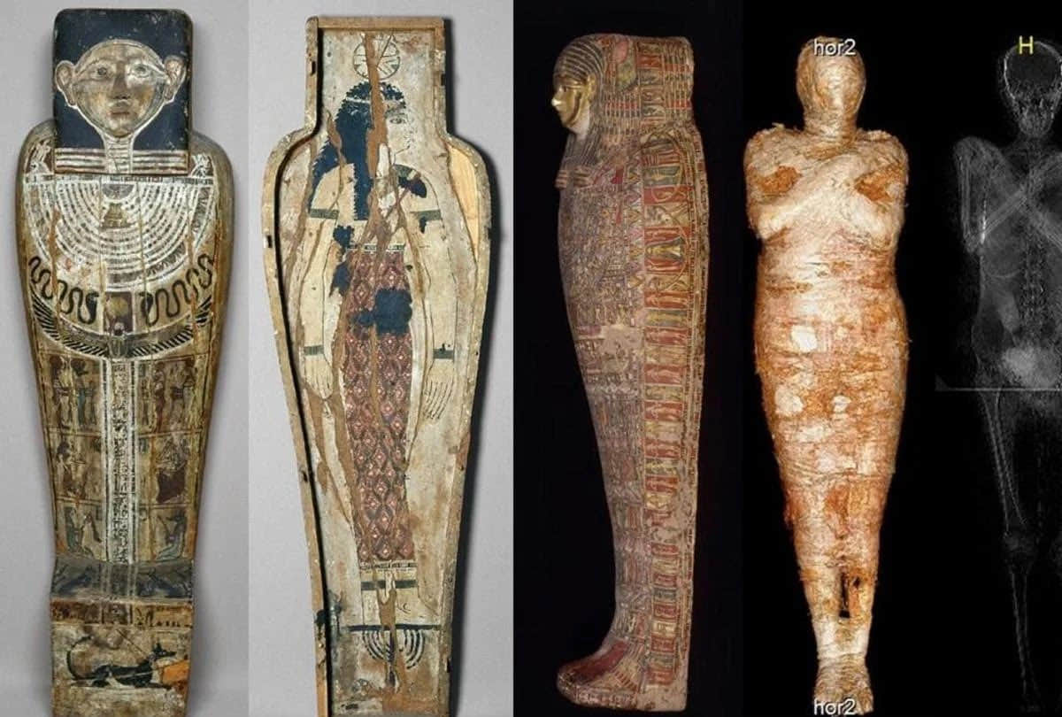 egyptian first pregnant mummy fetus found preserved know how foetus was preserved