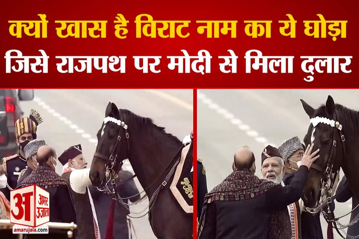 क्यों खास है विराट नाम का घोड़ा?