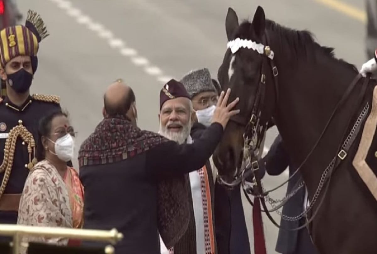 President Bodyguard horse Virat retires from service today