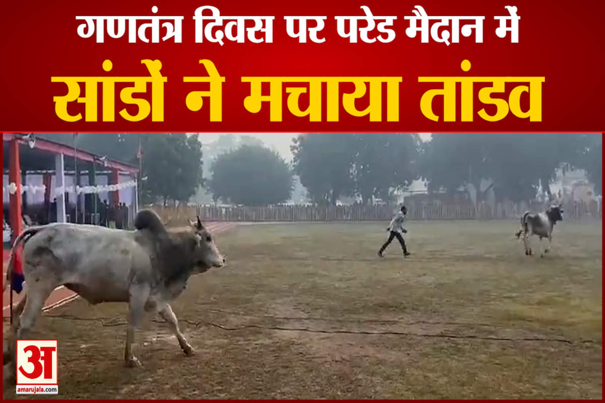 वायरल वीडियो