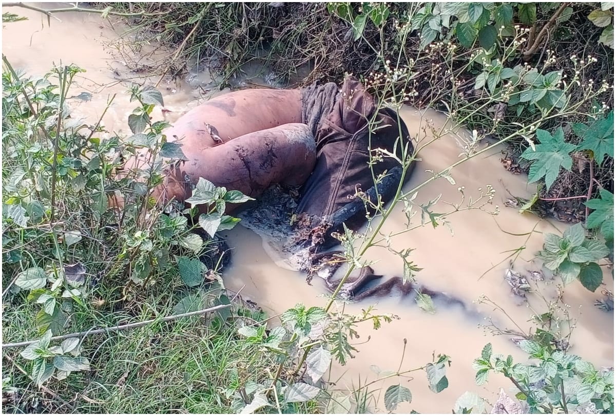 Murder the young man and throwing dead body in drain 