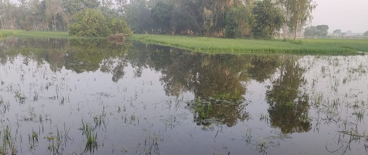 Gulalpur drain became trouble for villagers